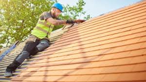Best Storm Damage Roof Repair  in Mebane, NC