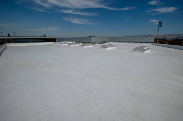 Best Solar Panel Roofing Installation  in Mebane, NC