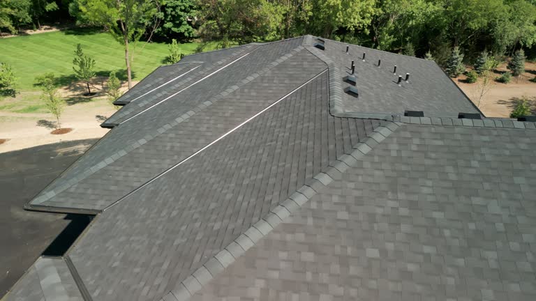 Best Solar Panel Roofing Installation  in Mebane, NC
