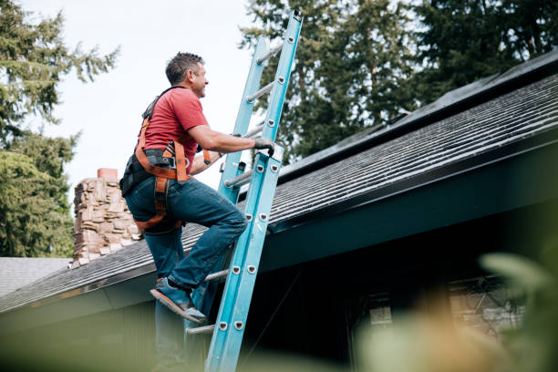 Best Gutter Installation and Repair  in Mebane, NC